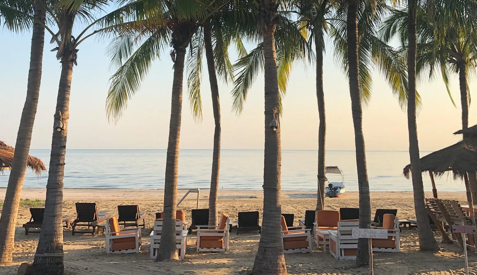 Beach chairs under palm trees at sunrise in front of Dolphin Bay Resort