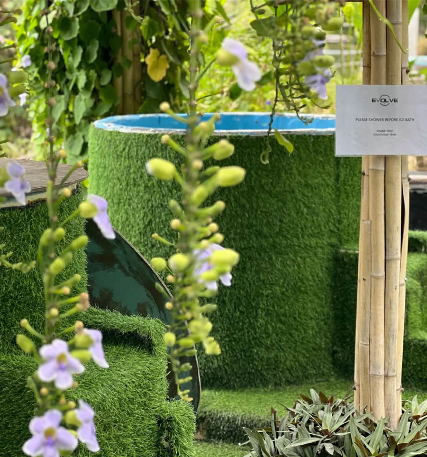 Round ice bath tub among flowering climbing plants at Evolve Health Club, Koh Phangan
