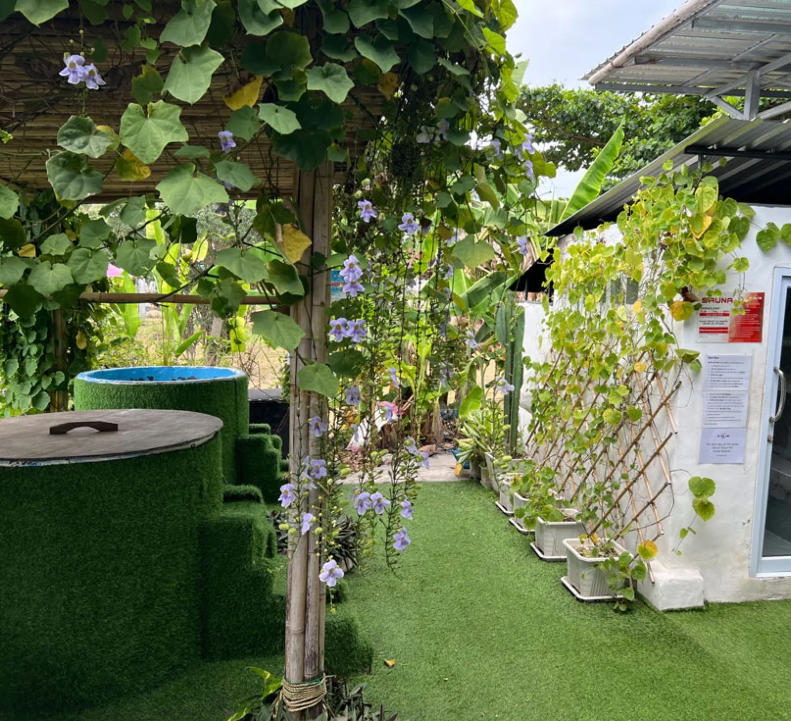 Ice bath tubs and garden recovery area at Evolve Health Club in Srithanu
