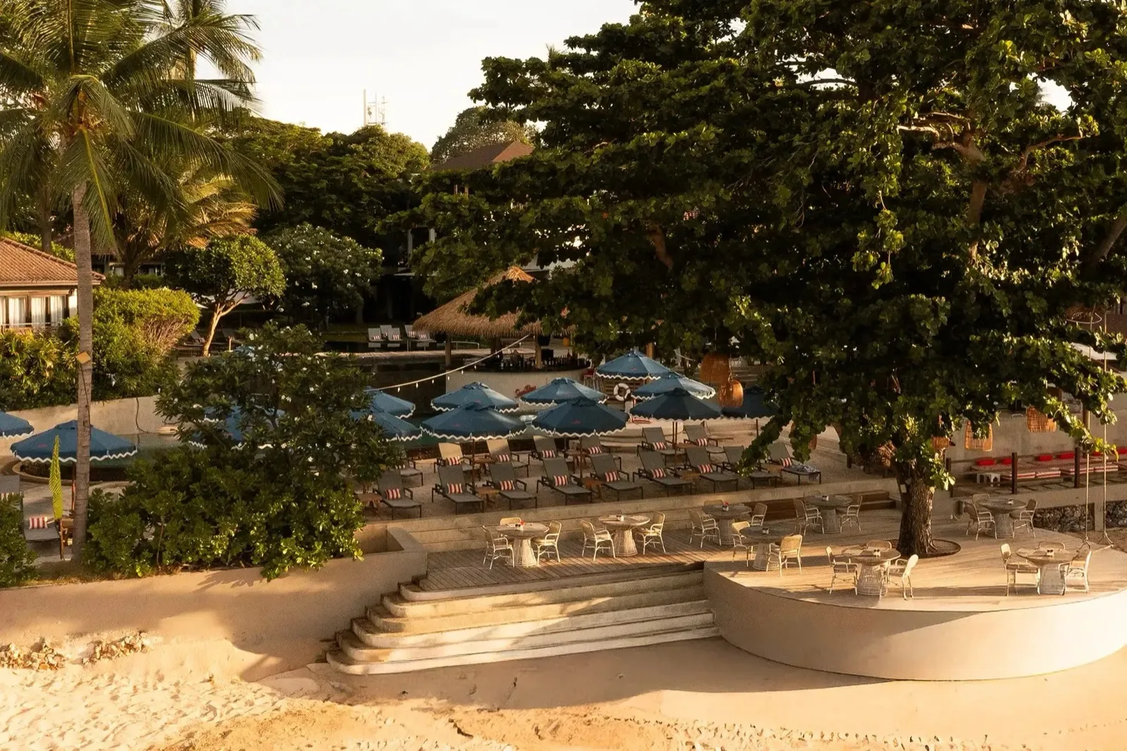 Terraced garden and sun loungers under big trees at SunRay Social & Swim Club, SAii Koh Samui Villas