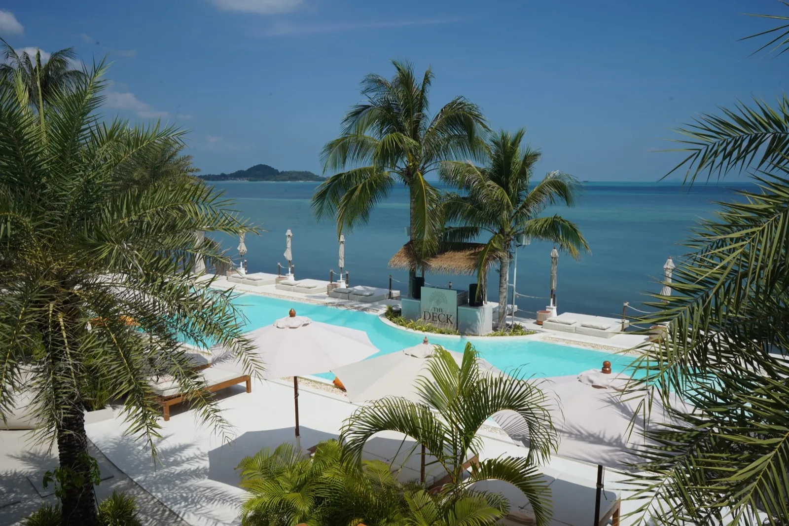 Palm trees framing the infinity pool and sea at The Deck Beach Club, Bophut