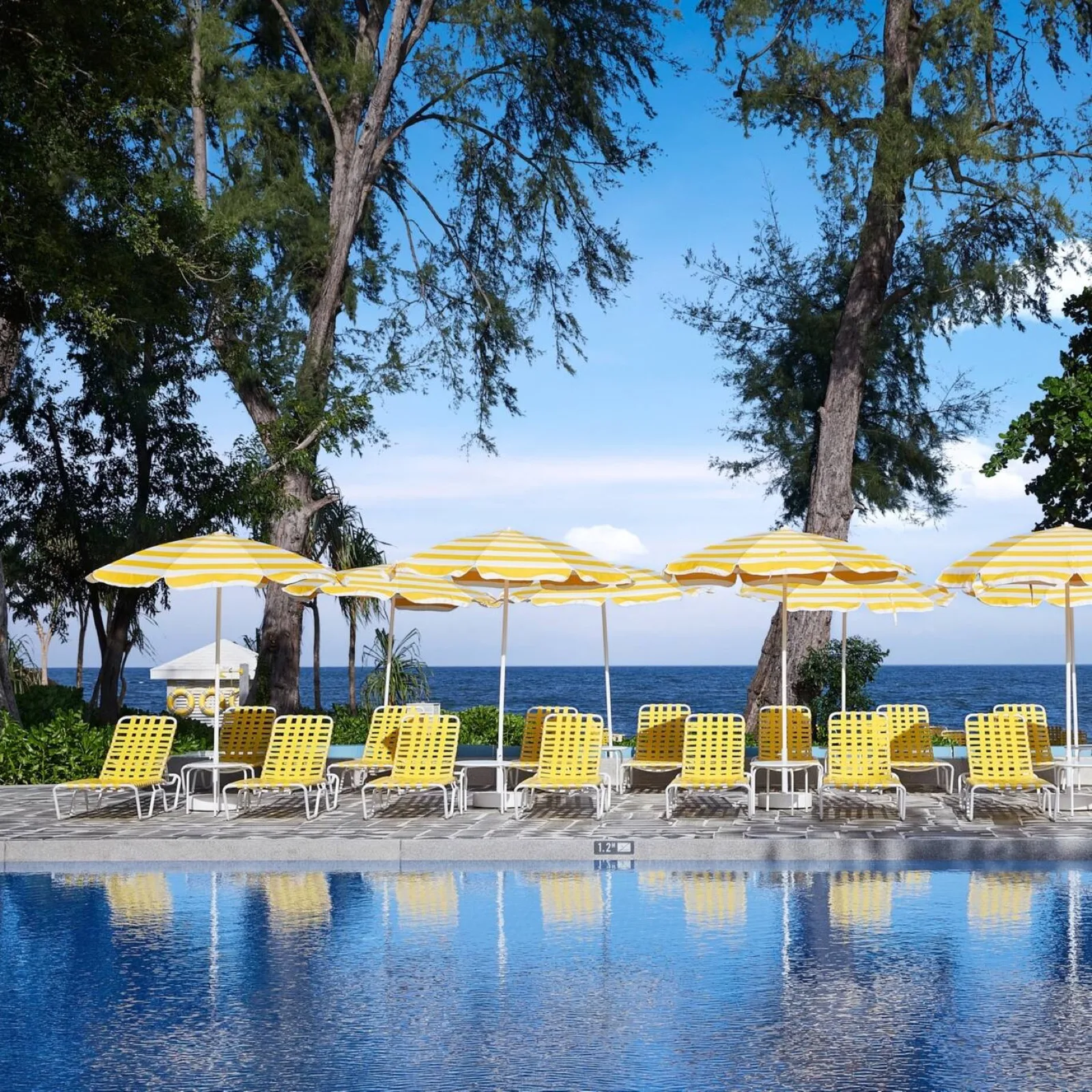 Yellow and white sun loungers and umbrellas beside the pool at The Standard Hua Hin, with the Gulf of Thailand behind